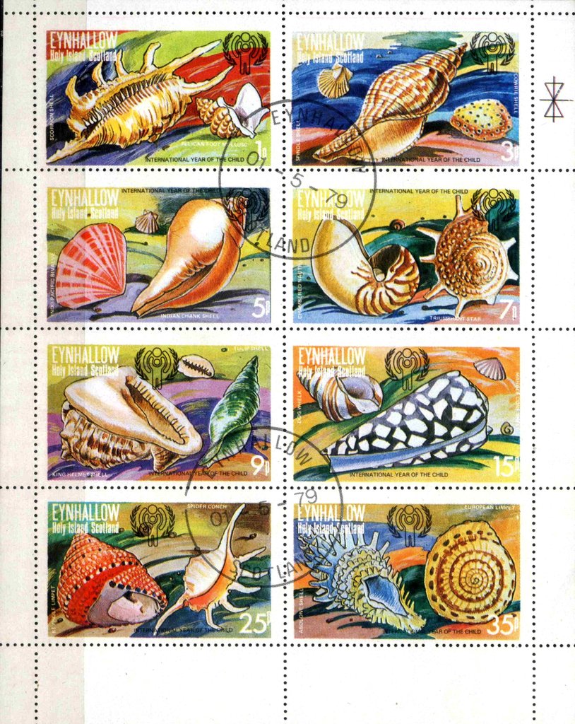 Shells/ International Year of the Child
