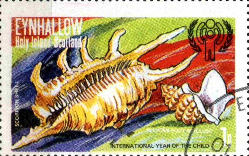 Scorpion Shell