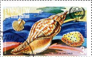 Stamp, Spindle Shell, Cinderellas,  , Shells