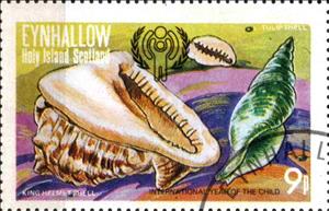 Stamp, King Helmet Shell, Cinderellas,  , Shells
