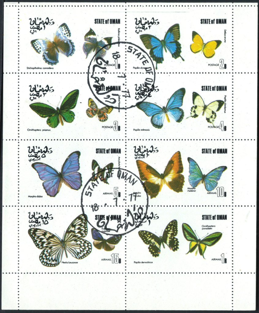 Butterflies