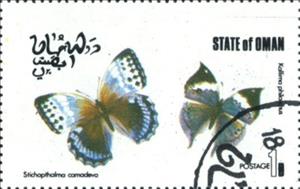 Stamp, Stichopthalma camadeva, Kallima philarchus, Cinderellas,  , Butterflies