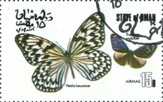 Hestia leuconoe, Euploea mulciber