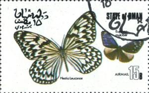 Stamp, Hestia leuconoe, Euploea mulciber, Cinderellas,  , Butterflies