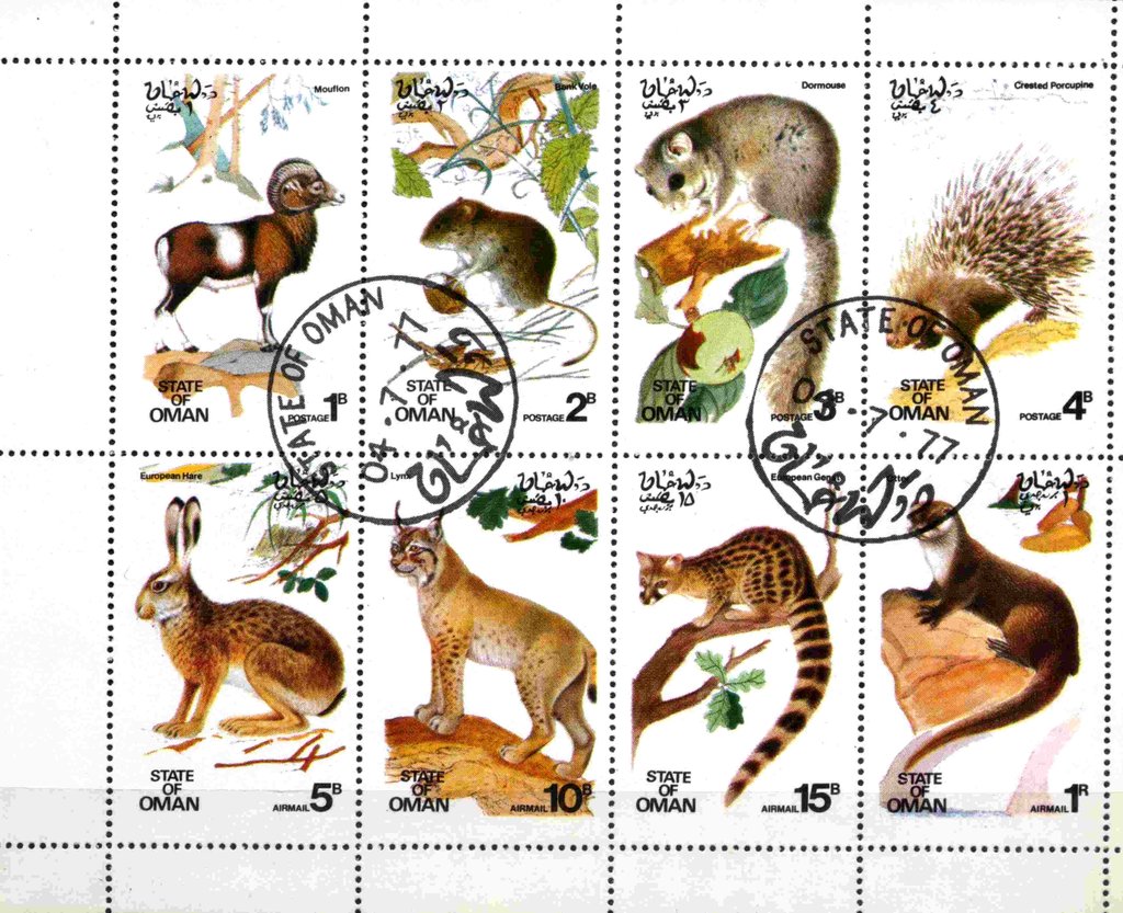 Animals