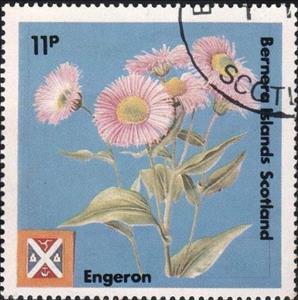 Stamp, Engeron, Cinderellas,  , Flowers