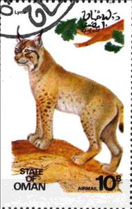 Stamp, Lynx, Cinderellas,  , Animals (Fauna), Lynx