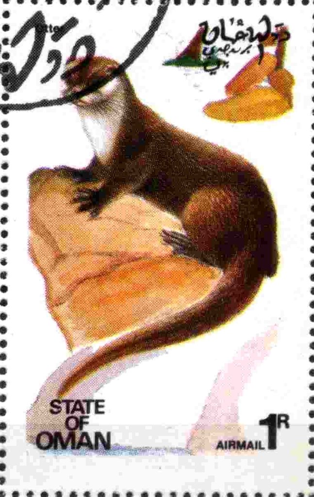 Otter