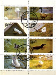 Mini Sheet, Birds, Cinderellas,  , Birds