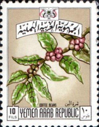 Branch of a coffee shrub