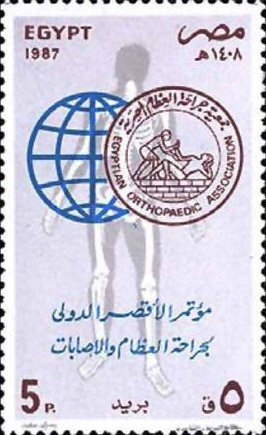 Orthopedic and Traumatology Conference