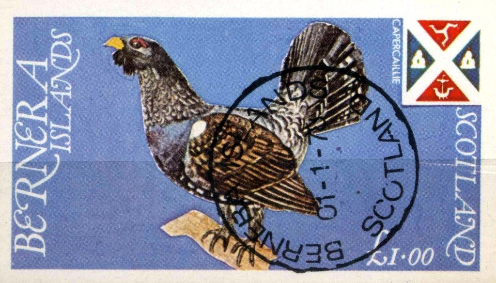 Capercaillie