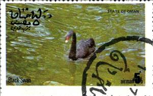 Stamp, Black Swan, Cinderellas,  , Birds