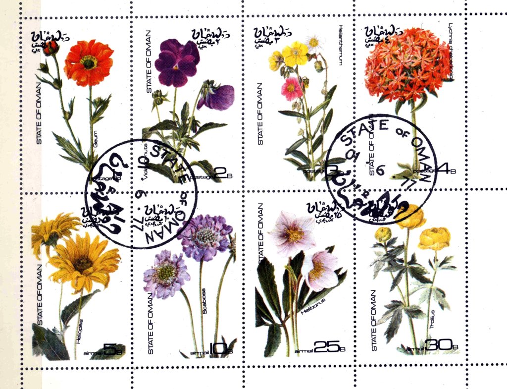Flowers