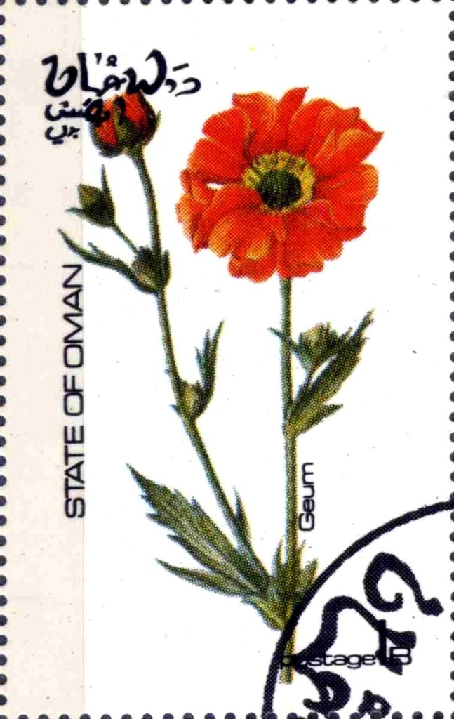 Geum