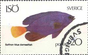 Stamp, Saffron blue damselfish, Cinderellas,  , Fishes