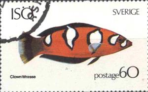 Stamp, Clown wrasse, Cinderellas,  , Fishes