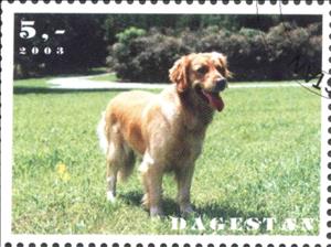 Stamp, Dogs, Cinderellas,  , Dogs
