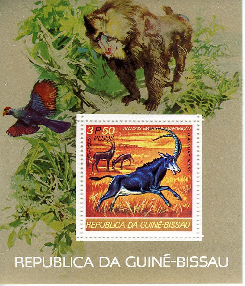 Sable Antelope (Hippotragus niger)
