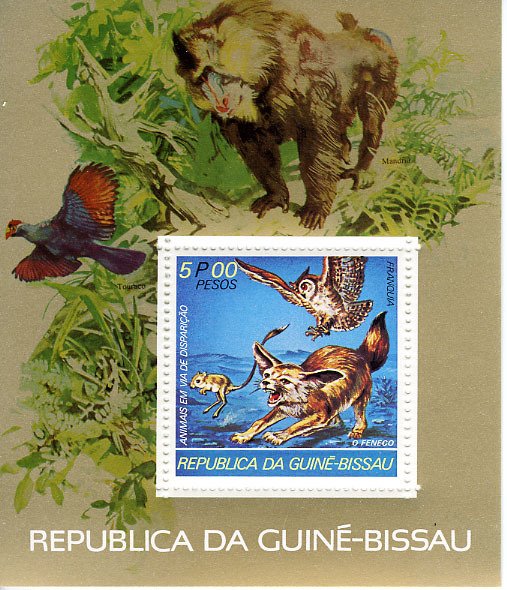 Fennek (Fennecus zerda), Owl, Gerbil