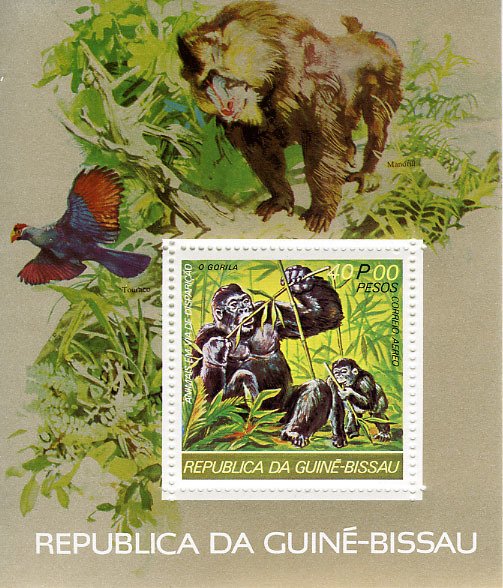 Gorilla