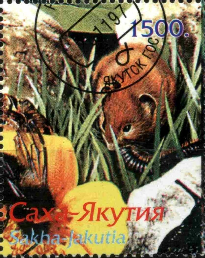 Fauna