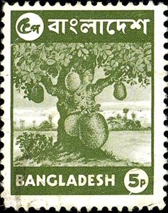 Stamp, Jackfruit tree (Artocarpus heterophyllus), Bangladesh,  , Fruits, Plants (Flora), Trees