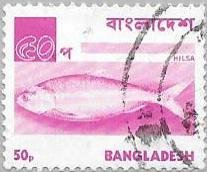 Hilsa / Ilish Fish (Tenualosa ilisha)