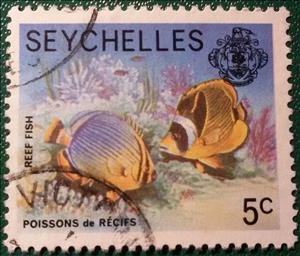 Stamp, Raccoon Butterflyfish (Chaetodon lunula), Melon Butterflyfis, Seychelles,  , Fishes