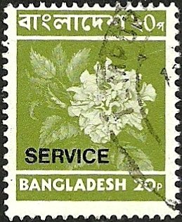 Hibiscus Flower