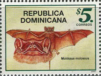 Bats