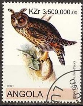 Owls