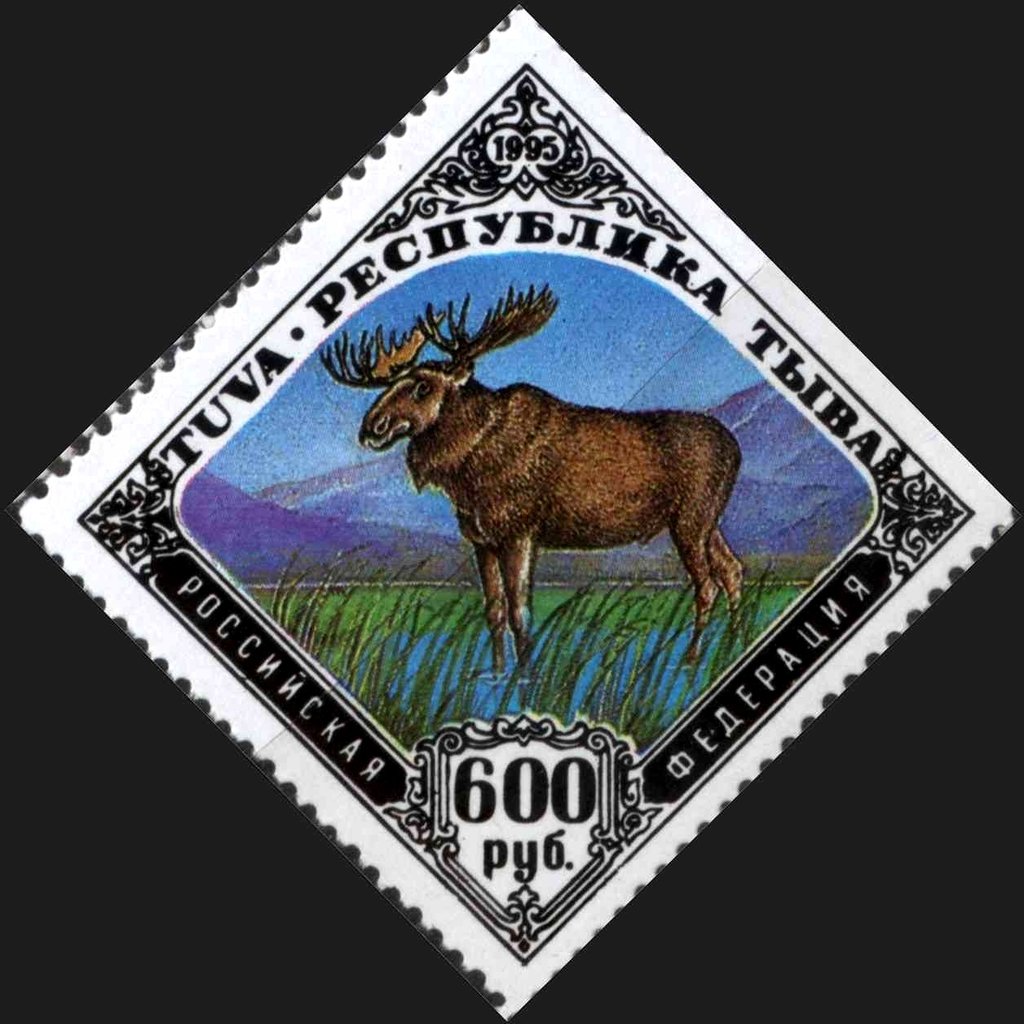 Moose
