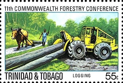 Logging