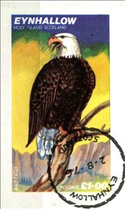 Stamp, Bald Eagle, Cinderellas,  , Birds