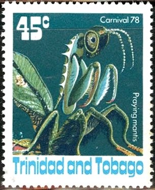Praying mantis