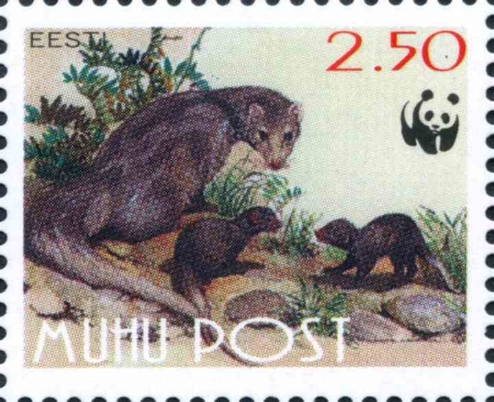 Fauna