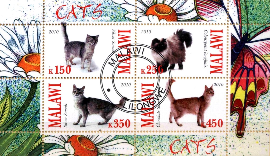 Cats