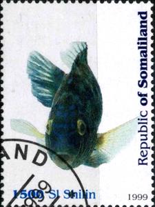 Stamp, Fish, Cinderellas,  , Fishes
