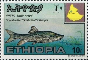 Stamp, Barbus degeni, Ethiopia,  , Animals (Fauna), Fishes