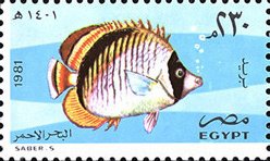 Stamp, Lined Butterflyfish (Chaetodon lineolatus), Egypt,  , Fishes