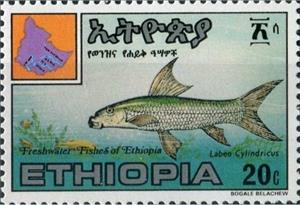 Stamp, Labeo cylindricus, Ethiopia,  , Animals (Fauna), Fishes
