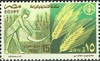 World Food Day