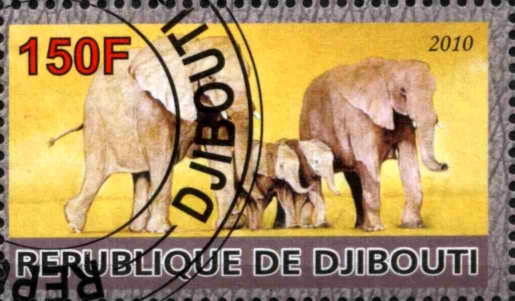 Elephant