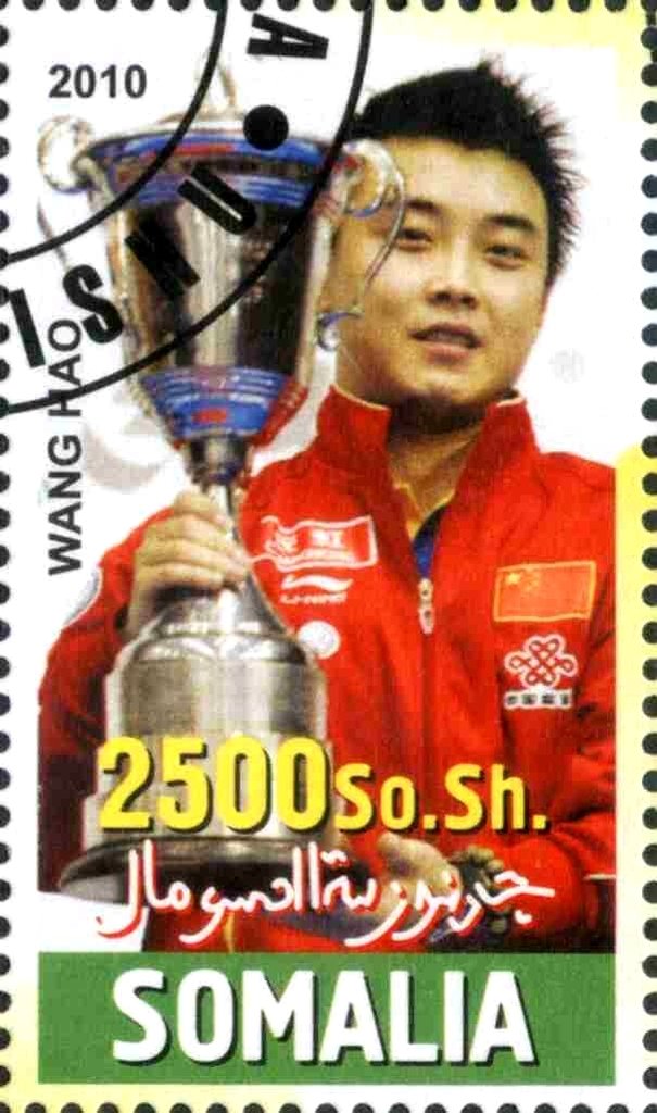 Wang Hao