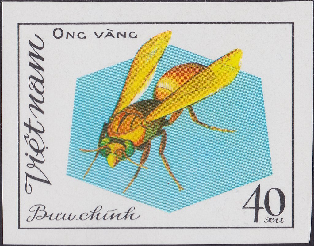 Ong Vang