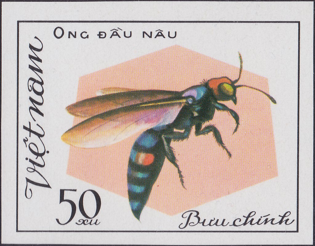 Ong Dau Nau