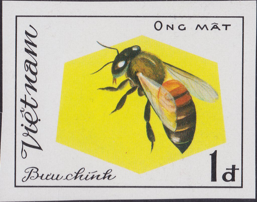 Ong Mat
