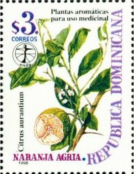 Medical plants