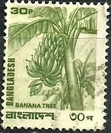 Bananas